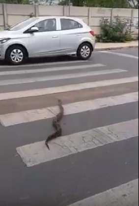 Flagra ocorreu na quarta-feira.