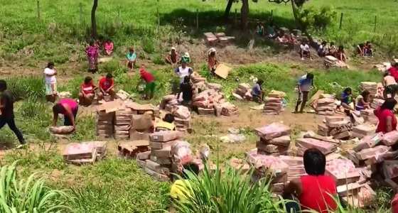 Após 2 horas do acidente os índios começaram a aparecer e a levar a carga de frangos congelados.