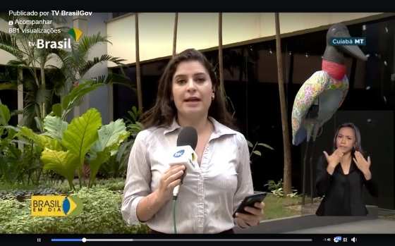 Jornalista cita as onças, jacarés, capivaras e aves para mostrar o mundo selvagem