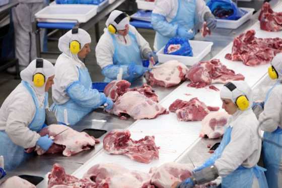 Produção de carne bovina está garantida no Brasil