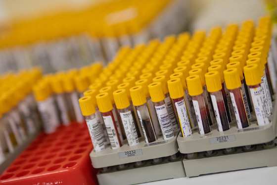 Conforme a Lei, o sistema não poderá ter qualquer restrição de acesso, necessidade de cadastro ou identificação prévia