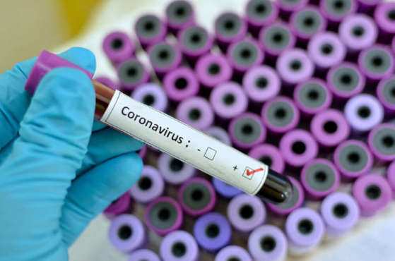 Município de Carlinda não tem nem mesmo casos suspeitos do novo coronavírus