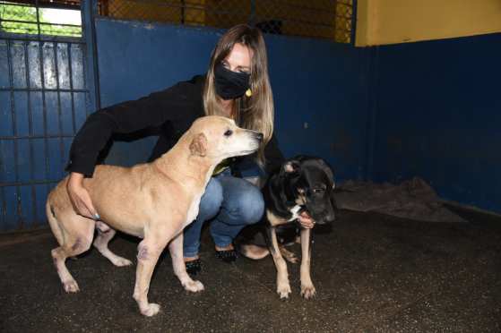 A Diretoria de Bem-estar Animal promove a adoção responsável