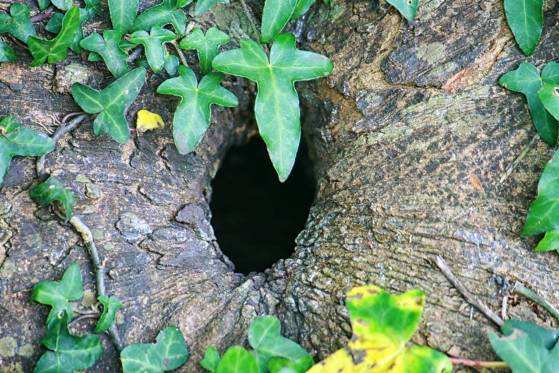 Ainda que polêmico, o “sexo por orifício rugoso” é mais praticado do que se pensa e pode ser fonte de muito prazer