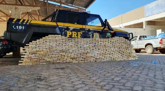 Apreensão foi feira pela PRF, na BR-163, em Nova Mutum 