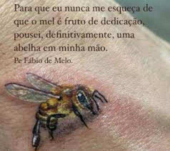 “Para que eu nunca me esqueça de que o mel é fruto de dedicação, pousei, definitivamente, uma abelha em minha mão”, escreveu o padre.