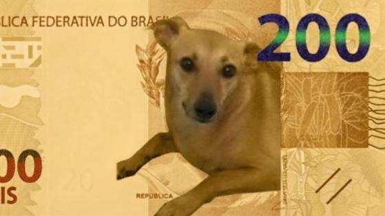 Nada simboliza mais os animais do Brasil