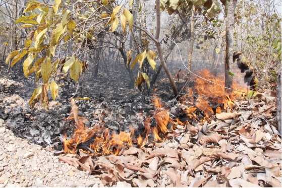 Brigadistas estavam retornando de uma ocorrência de queimada no bairro Tijucal quando avistaram o fogo