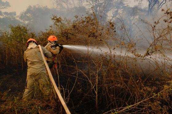 Pantanal mato-grossense sofre pior onda de incêndios dos últimos anos