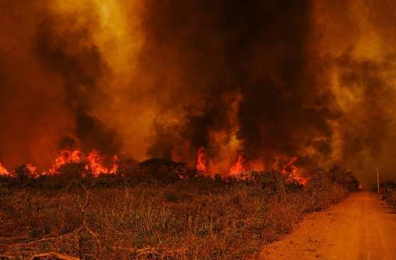 Pantanal mato-grossense registra a maior queimada da história
