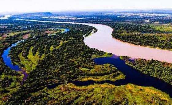 Objetivo de levar informações sobre os incêndios florestais que têm devastado o Pantanal