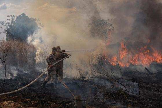 Governo montou operação para prevenir incêndios no Pantanal e dar resposta rápida no combate às chamas.