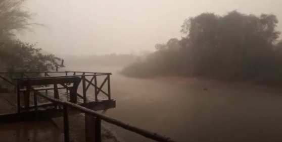 Chuva trouxe alívio para o Pantanal mato-grossense, que sofre com as queimadas