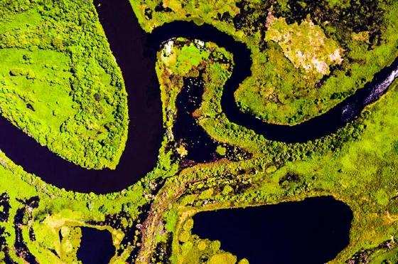 pantanal_MEV3585.jpg