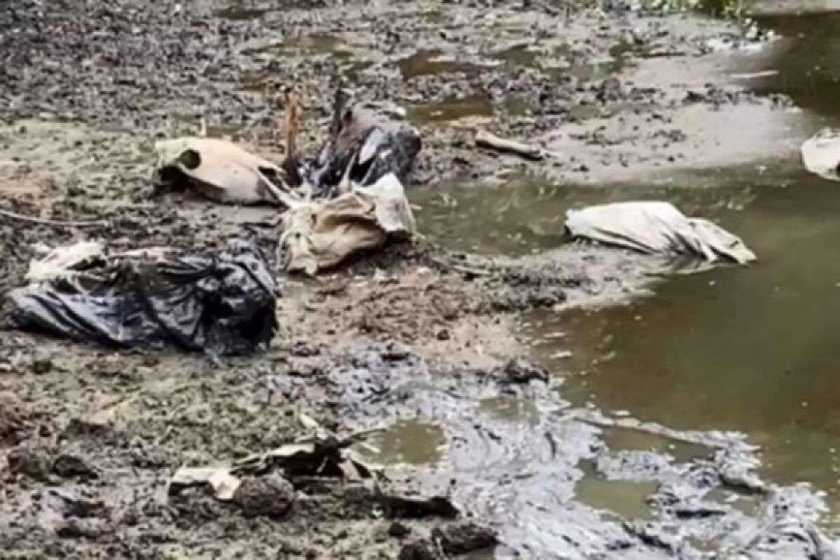 MATANDO CAVALO PARA FAZER CARNE SECA PASSO A PASSO. 