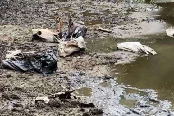 Denuncia anônima apontou descarte irregular de cabeças de cavalo no bairro Morada do Ouro.