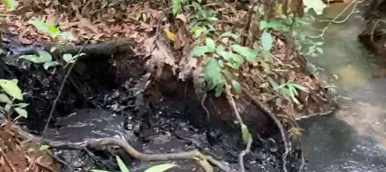 Ponto de encontro da 'correnteza' do líquido preto com o Rio Coxipó Açu.