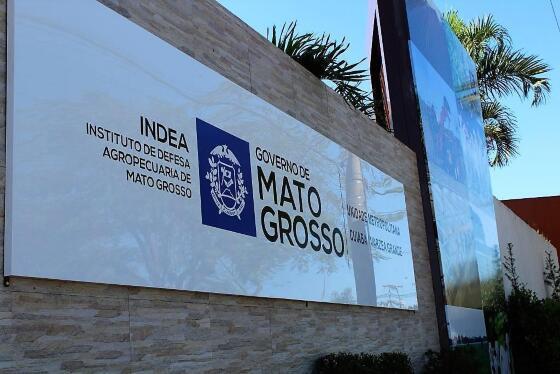 Banca passa a defender ex-servidora que acusa presidente do Indea e assédio sexual