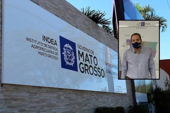 marcos catão