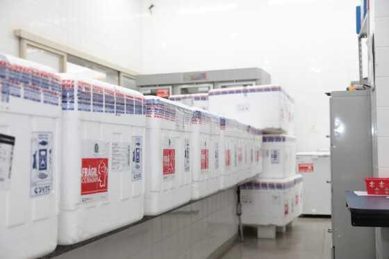 Lotes saem de Cuiabá com destino a 16 escritórios regionais no interior.