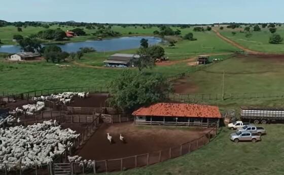Fazenda pertence ao cantor Amado Batista