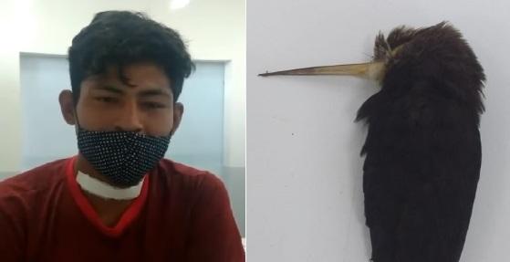 EikJúnior Monzilar Parikokoriu foi atingido por beija-flor. Pássaro morreu