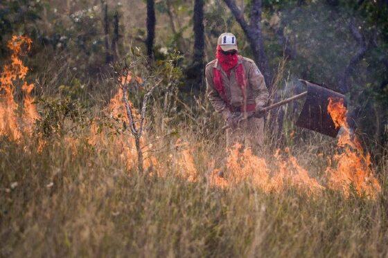 Bombeiros combatem às chamas 