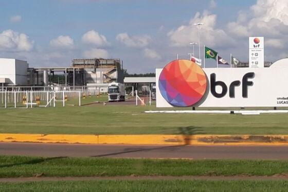 BRF de Lucas do Rio Verde