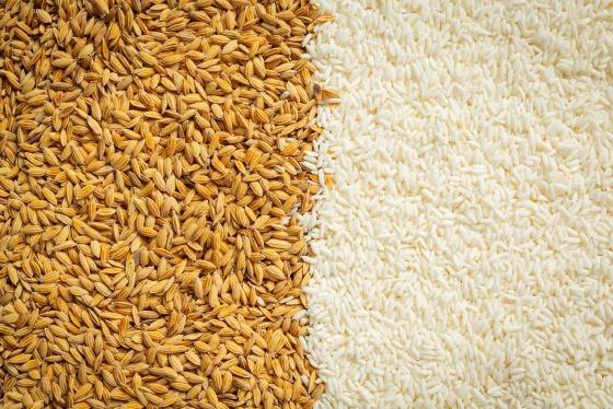 arroz.jpg