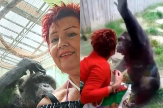 Mulher diz que animal o ama.