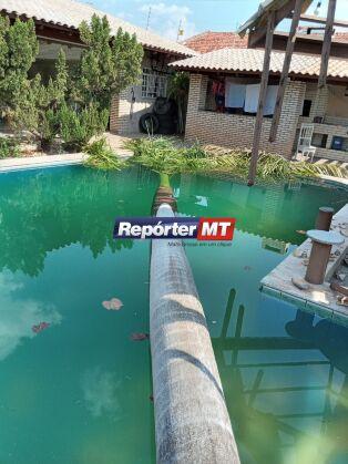 Árvore ficou atravessada na piscina