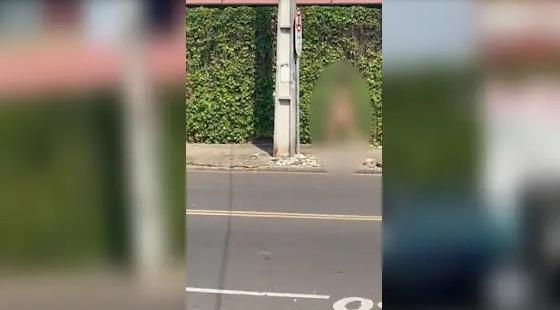 A mulher caminha pela rua no bairro Boqueirão. O vídeo viralizou nas redes sociais.