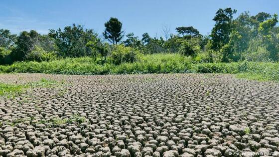 Seca também atinge o Pantanal mato-grossense