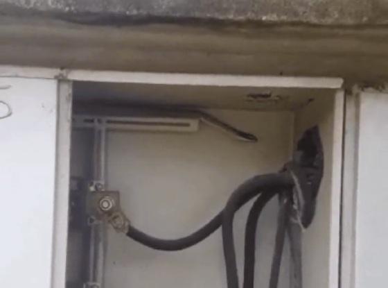 Aparentemente, a cobra mora no medidor de luz.
