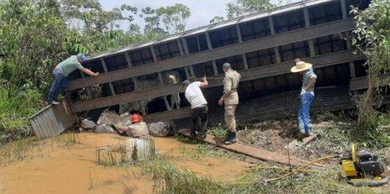 Dos 17 animais, quatro morreram no tombamento