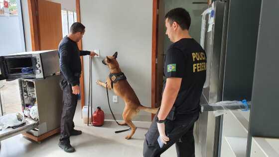 Polícia Federal realiza prisões em flagrantes durante operação.