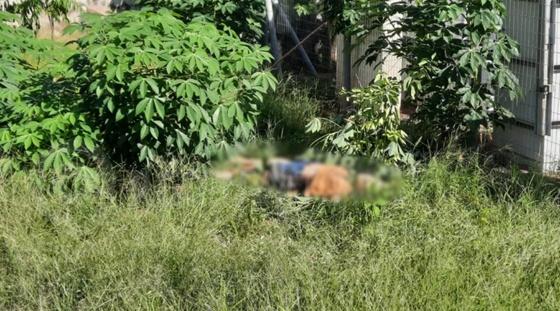 O corpo da menor foi encontrado na manhã desta sexta-feira (10), 