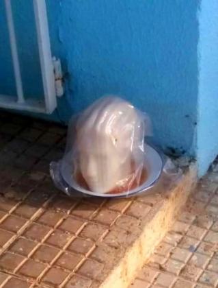 imagem