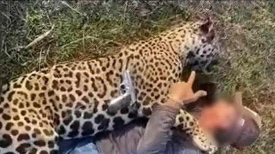Benedito Nédio Nunes Rondon postou vídeo debochando do animal