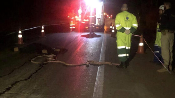 Idoso foi atropelado na BR-163