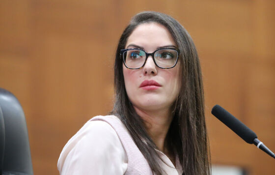 O projeto é de autoria da deputada estadual Janaina Riva (MDB) 