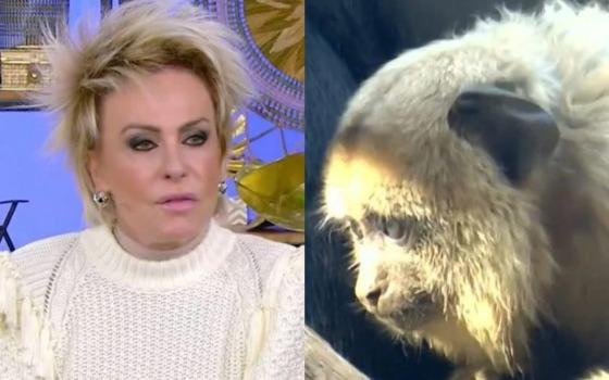 A apresentadora foi surpreendida com uma falha técnica no programa