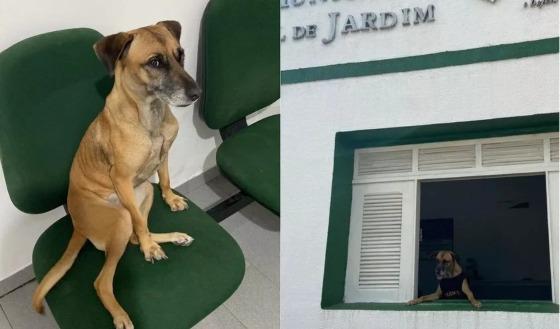 Berenice passou a viver na unidade policial após ser resgatada da rua.