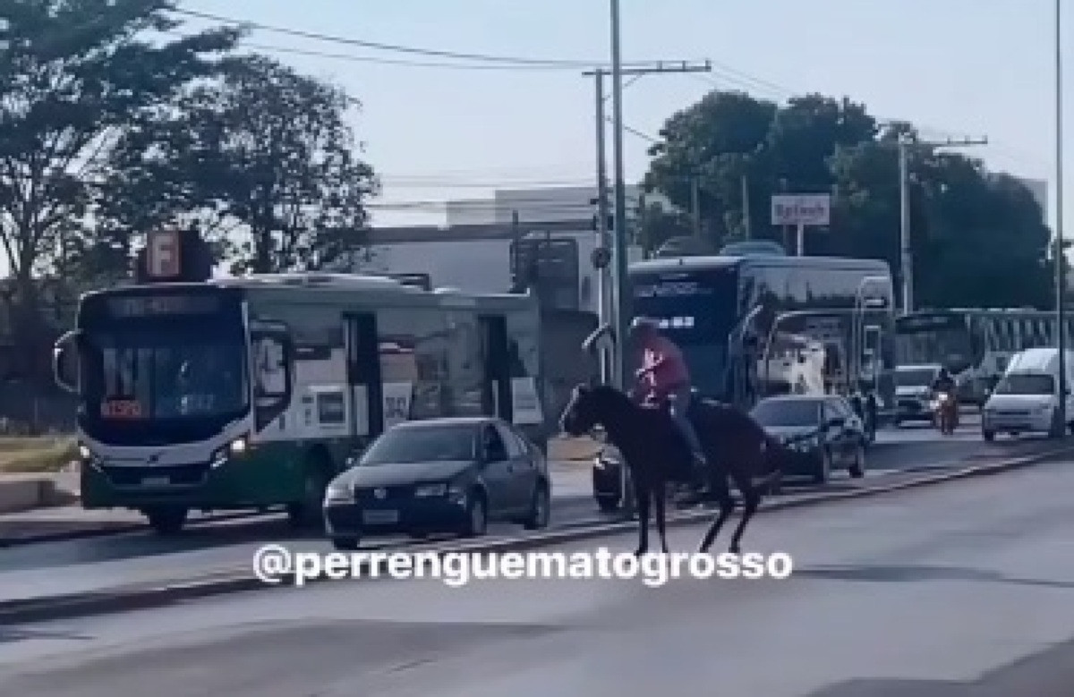 Como reagir aos pinotes que os cavalos dão?