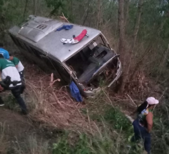Micro-ônibus saiu da pista e bateu em árvore