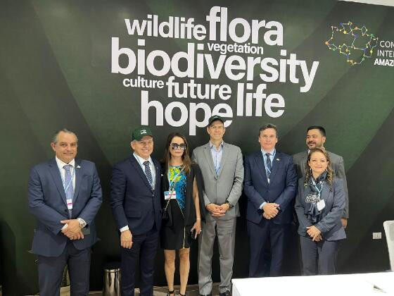 Governador Mauro Mendes lidera comitiva de Mato Groso na COP-27.