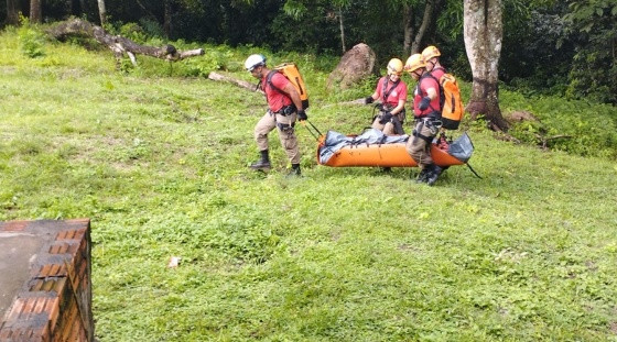Restos mortais foram recolhidos pelos homens do Corpo de Bombeiros.