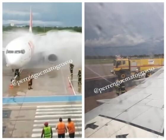 Em um vídeo que circula nas redes sociais, é possível ver o enxame sendo removido da aeronave