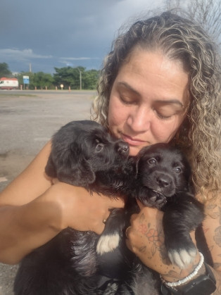 Animais filmados em carroceria de carro foram adotados.