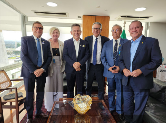 Mauro Mendes e senadores com ministro Alexandre Padilha